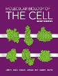Molecular Biology of The Cell